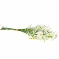 Floristik24 Blumenstrauß mit Astern Weiß 47cm