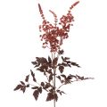 Floristik24 Künstliche Astilbe Rotbraun 80cm Langstielig für Dekoration