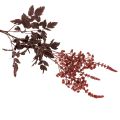 Künstliche Astilbe Rotbraun