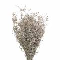 Floristik24 Trockenfloristik Wildblumenzweig Weiß gewaschen 60cm 100g
