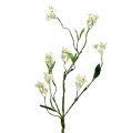 Floristik24 Blütenzweig Weiß L 65cm 1St Künstliche Pflanze wie echt !