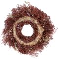Blumenkranz Trockenblumen Kranz Weinrot Rosa Ø25cm | Floristik24.ch