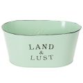 Floristik24 Blumenschale oval aus Metall Mint mit Vintage-Design 27×18×12 cm