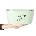 Blumenschale oval aus Metall Mint mit Vintage-Design 27×18×12 cm | Floristik24.ch