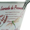 Floristik24 Blumenschale mit Griffen oval Metall Lavendel 32×15×15cm