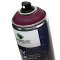 Floristik24 OASIS® Easy Colour Spray, Lack-Spray Erika 400ml