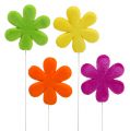 Floristik24 Blumenstecker Blüte bunt beflockt Ø8,5cm 8St