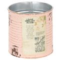 Floristik24 Metall Blumentopf Deko-Dose Lachs Ø11cm H10.5cm für Sommer- und Innenraumdekoration