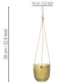 Hängender Glas-Blumentopf oder Windlicht, 14 cm, Lila und Grün, 2 Stück | Floristik24.ch