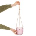 Hängender Glas-Blumentopf oder Windlicht, 14 cm, Lila und Grün, 2 Stück | Floristik24.ch