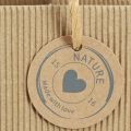 Blumentopf aus Papier Gerippt mit Folie 12x12cm 8 St | Floristik24.ch