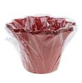 Floristik24 Blumentopf Plastik Rot Ø10,5cm 10St