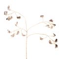 Floristik24 Bohnenblütenzweig Metallic Champagner Kunstpflanze 80 cm 3er-Set Weihnachten