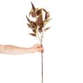 Künstliche Buntnessel mit roten Blättern aus Kunststoff, 20 cm | Floristik24.ch