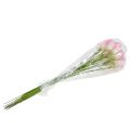Floristik24 Calla Deko-Blume Rosa 57cm 12St