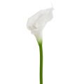 Floristik24 Künstliche Calla Weiß 67cm