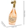Baumanhänger-Set aus Glas Sektflasche und Sektglas 14cm Roségold 2 Stück | Floristik24.ch
