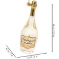 Sektflasche und Sektglas Anhänger-Set aus Glas 14cm Dekoration für Weihnachten und Silvester | Floristik24.ch