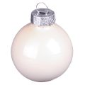 Christbaumkugeln Glas Baumkugeln Berry Mix Ø5cm 24 St Berry Rosa Beige creme glänzend | Floristik24.ch