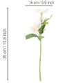 Künstlicher Christrosen-Bund 35cm Rosa-Weiss Kunststoff 6-Stück | Floristik24.ch