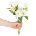 Kunstblume Christrose weiss Bund 36 cm Kunststoff für Weihnachten | Floristik24.ch
