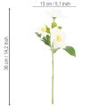 Kunstblume Christrose weiss Bund 36 cm Kunststoff für Weihnachten | Floristik24.ch
