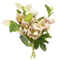 Floristik24 Christrose künstlich 30 cm Bund mit 4 Stielen in Rosa-Grün