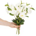 Christrose Kunstblume weiss, Dekobund 40 cm, 4 Stiele mit Blüten | Floristik24.ch