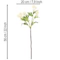 Kunstblume Chrysanthemen Bund Kunststoff cremeweiss 56cm 4 Stück für Innenbereich | Floristik24.ch