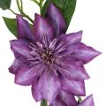 Floristik24 Künstliche Clematis, Seidenblume, Dekozweig mit Clematisblüten Violett L84cm