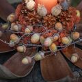 Cocosschalen Natur 60cm 5 St