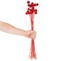 Getrocknete Craspedia in Rot, 55 cm, 20 Stiele | Floristik24.ch