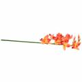 Floristik24 Orchidee Kunstblume Cymbidium Orange 74cm