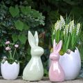 Floristik24 Deko Hase Weiß Perlmutt 15,5cm 2St