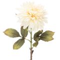 Floristik24 Künstliche Blume Dahlie aus Seidenstoff 68 cm cremeweiss