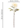 Künstliche Blume Dahlie aus Seidenstoff 68 cm cremeweiss | Floristik24.ch