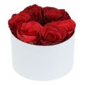 Floristik24 Blumenbox Flowerbox Weiß rund Ø14cm - Ø16cm 2St