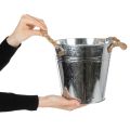 Deko Eimer Blumentopf Metall Ø20cm mit Seilgriffen Silber | Floristik24.ch