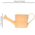 Deko-Giesskannen-Übertöpfe aus Metall, 8-teilig, 16,5x7 cm, Grün, Gelb, Orange, für Balkon und Küche | Floristik24.ch