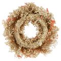 Deko Kranz Trockenblumen Blumenkranz Orange Creme Ø25cm | Floristik24.ch