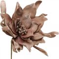 Floristik24 Deko Lotusblüte Künstlich Lotosblume Kunstblume Braun L68cm