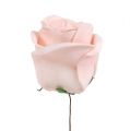 Floristik24 Deko-Rose Mix Weiß, Rosa, Creme Ø7,5cm 12St