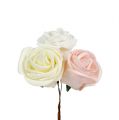 Floristik24 Deko Rose Weiß, Creme, Rosa Mix Ø6cm 24St