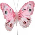 Floristik24 Deko-Schmetterlinge Rosa Federschmetterling am Draht 7,5cm 6St