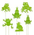 Floristik24 Deko-Stecker Frosch Grün 7cm - 10cm 12St