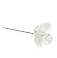 Floristik24 Deko Stecknadel Blume Ø3cm 24St