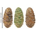 Deko Zapfen Keramik Sortiert Grün Gelb Braun 8,5cm 6 St | Floristik24.ch