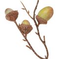Deko Zweig Eicheln Deko Grün Herbstdeko künstlich 80cm | Floristik24.ch
