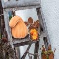 Floristik24 Deko Kürbis gekrümmt Orange beflockt Künstlicher Zierkürbis 18cm