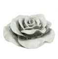 Floristik24 Deko Rose Grau 13cm